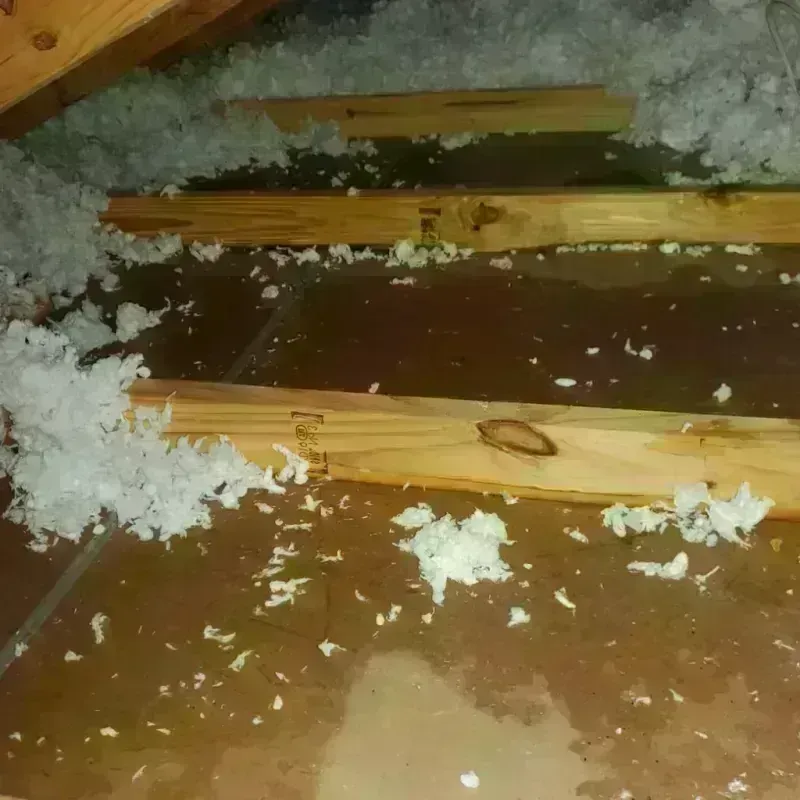 Attic Water Damage in Boulevard Park, WA