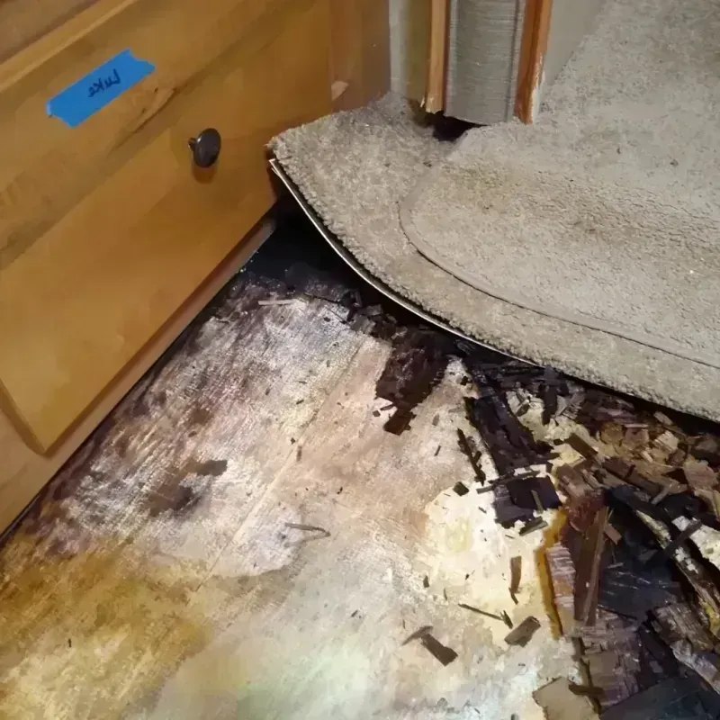 Wood Floor Water Damage in Boulevard Park, WA